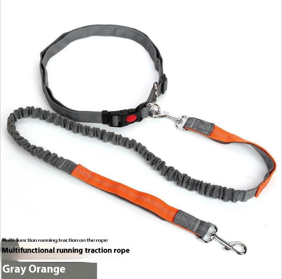 Running Dog Leash