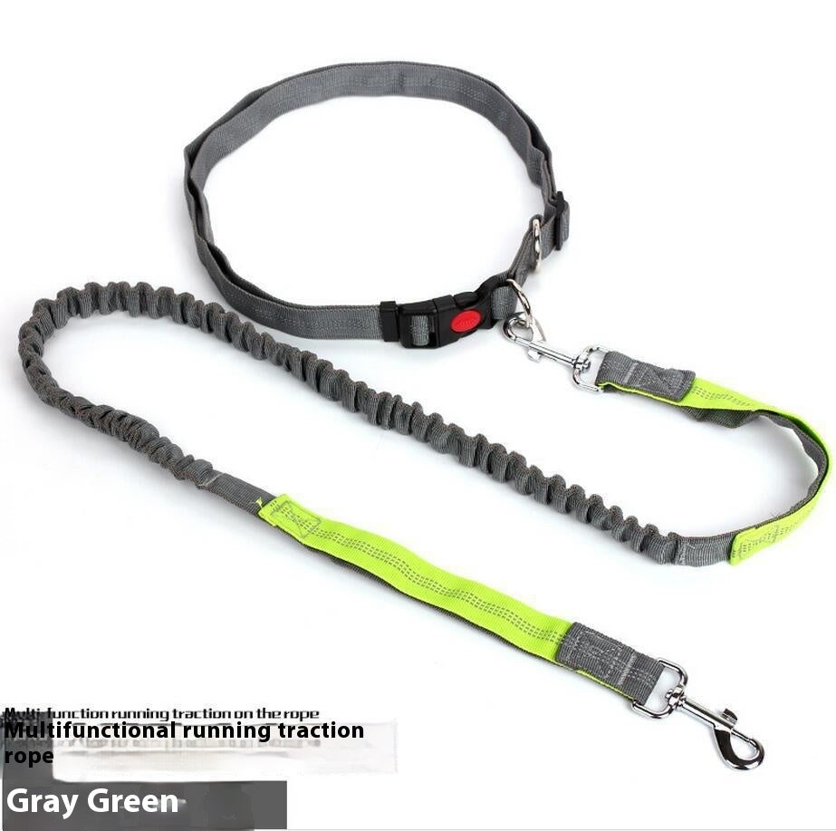 Running Dog Leash