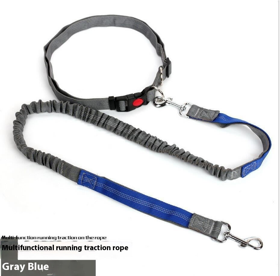 Running Dog Leash